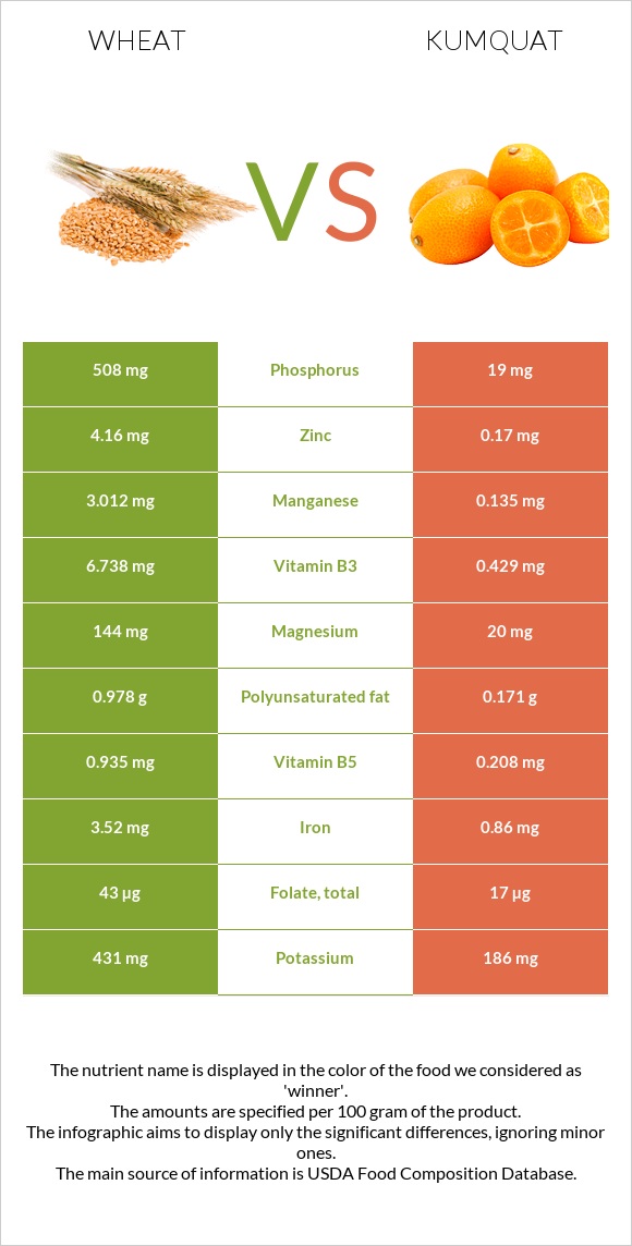 Wheat  vs Kumquat infographic