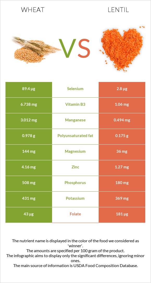 Wheat  vs Lentil infographic