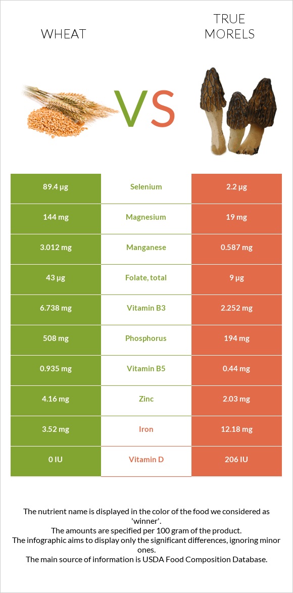 Wheat vs True morels infographic