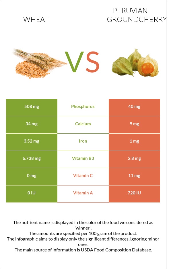 Wheat vs Peruvian groundcherry infographic