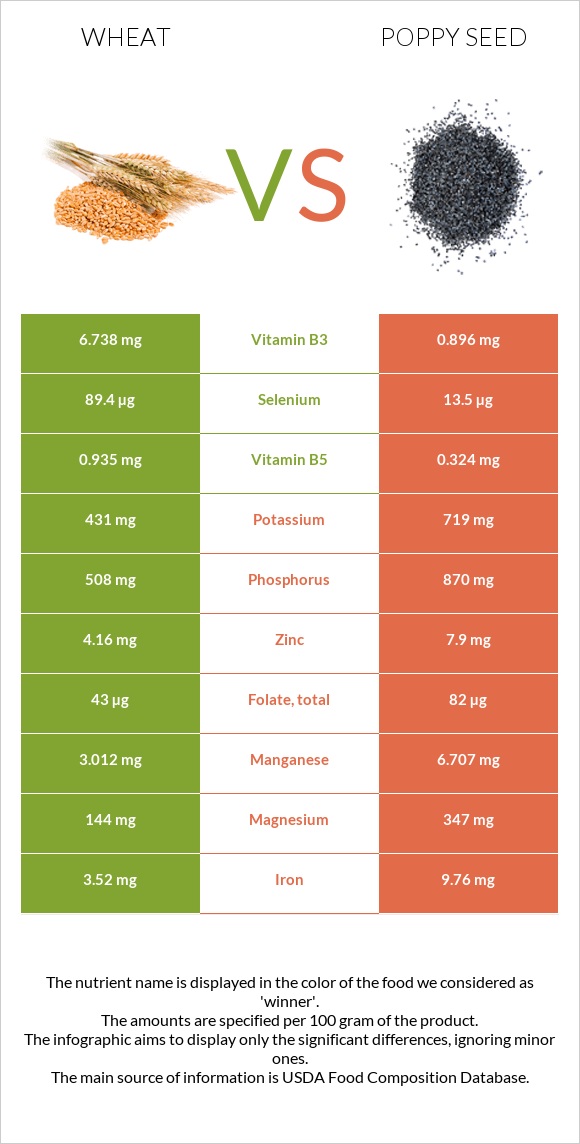 Wheat  vs Poppy seed infographic