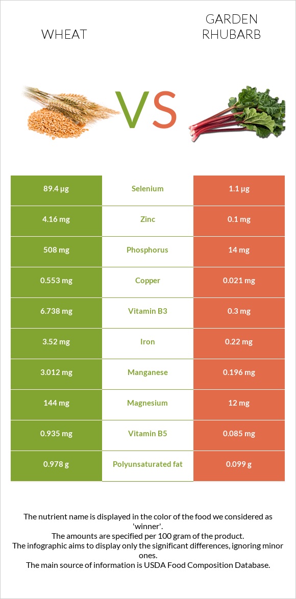 Wheat  vs Garden rhubarb infographic