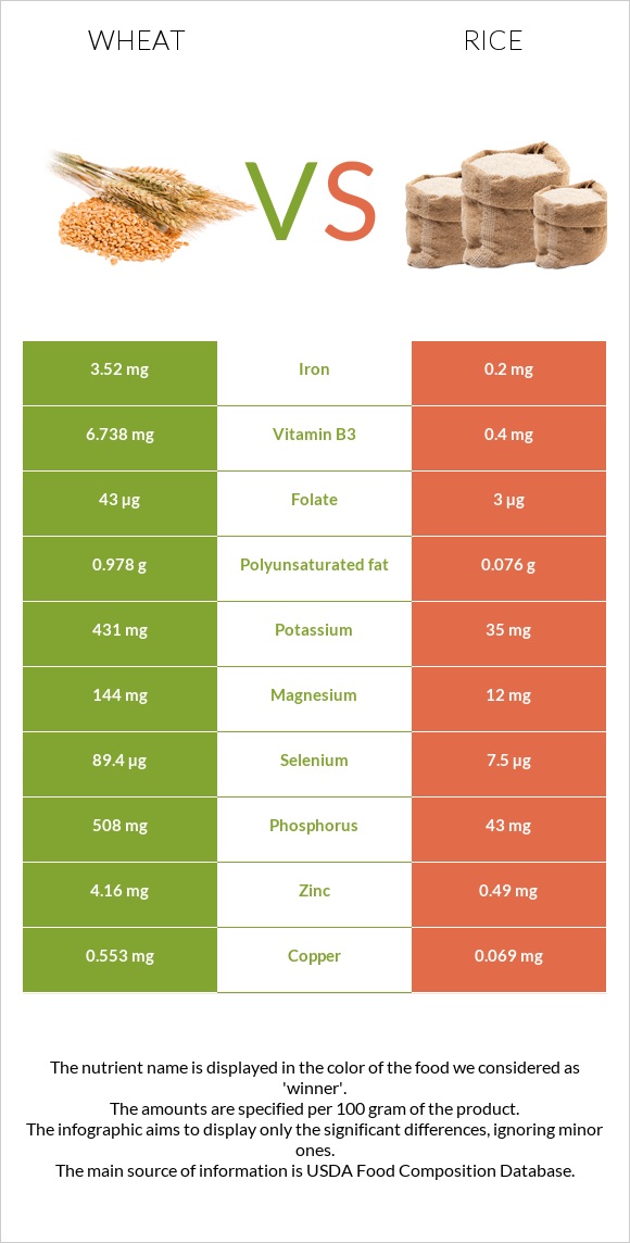Wheat  vs Rice infographic