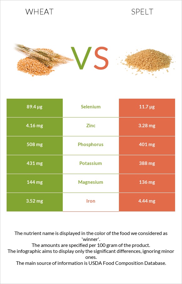 Wheat  vs Spelt infographic