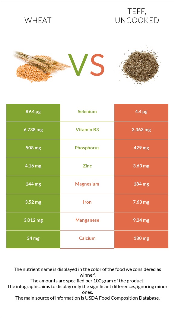 Wheat  vs Teff infographic