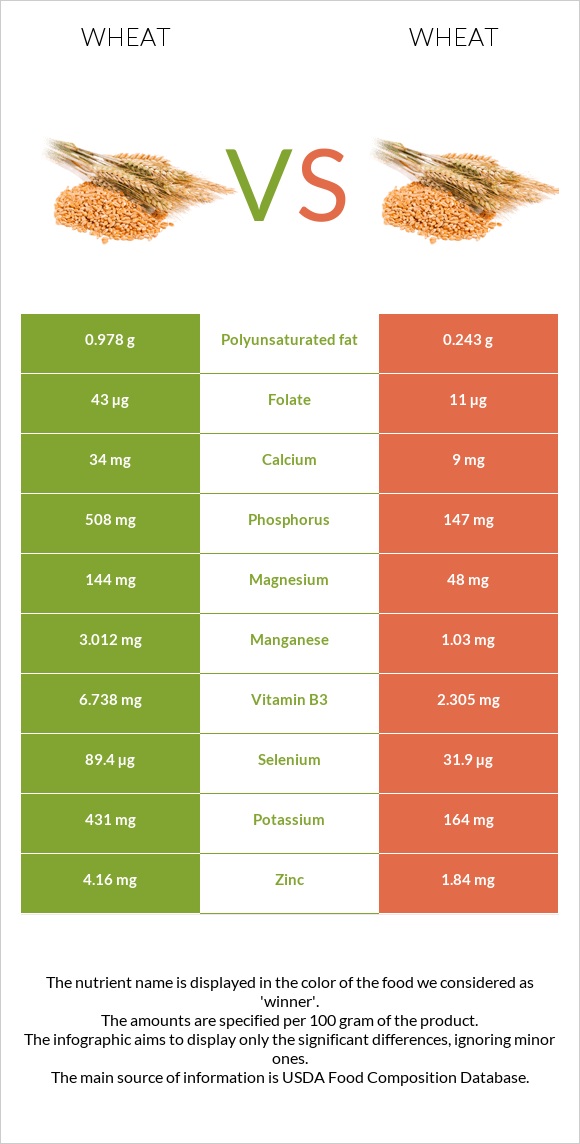 Wheat  vs Wheat infographic