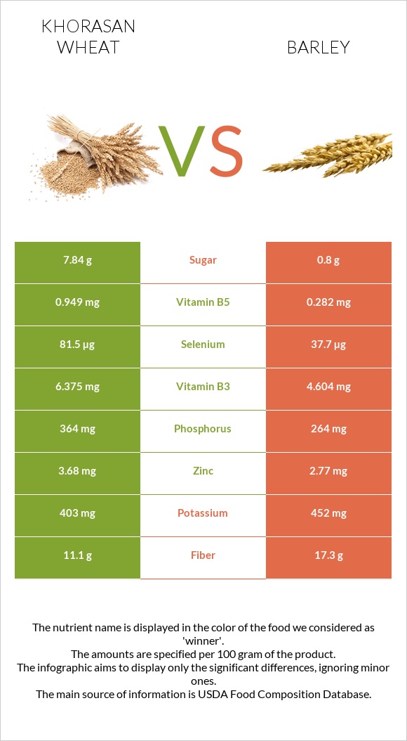 Khorasan wheat vs Barley infographic