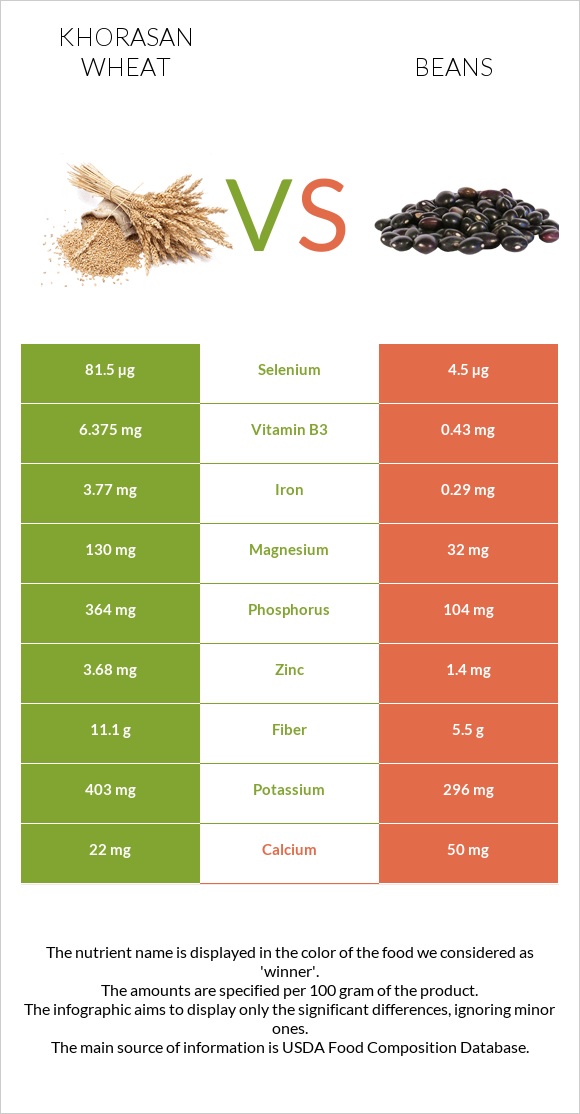 Խորասան ցորենի vs Լոբի պինտո infographic