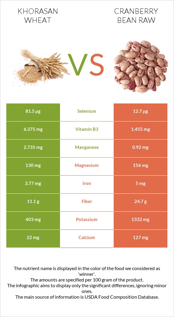 Khorasan wheat vs Cranberry bean raw infographic