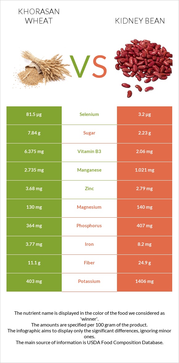 Khorasan wheat vs Kidney bean infographic