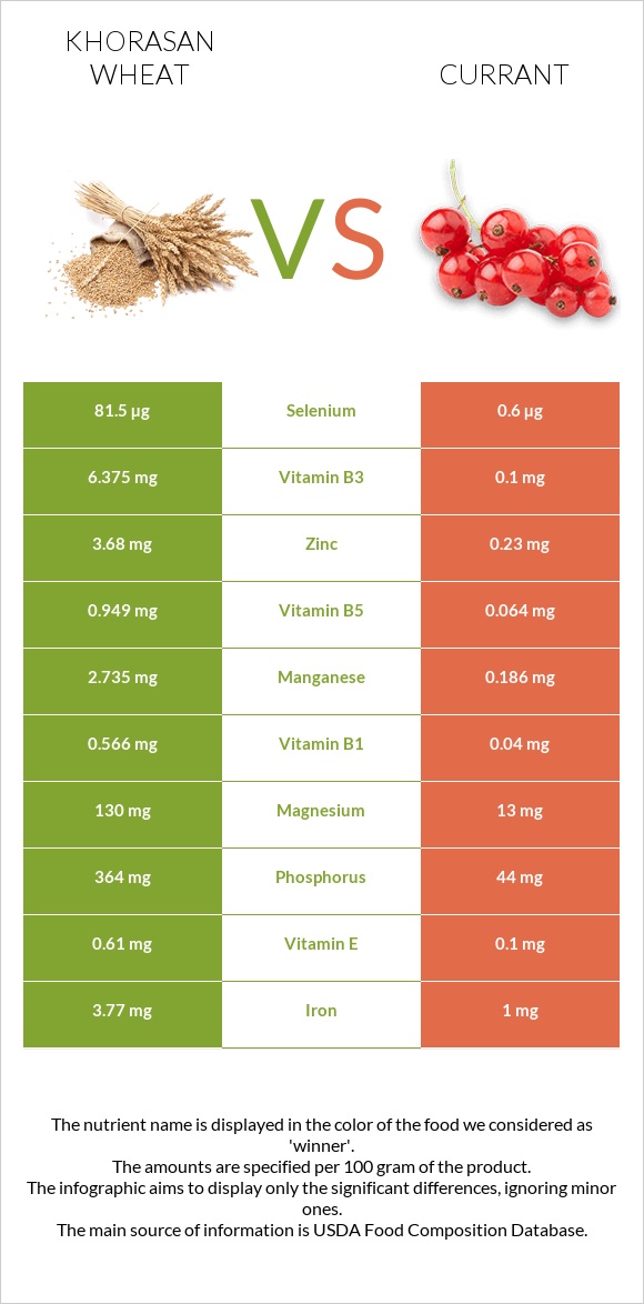 Khorasan wheat vs Currant infographic