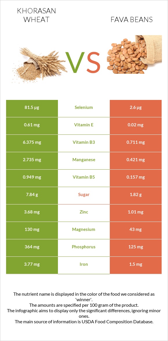 Khorasan wheat vs Fava beans infographic