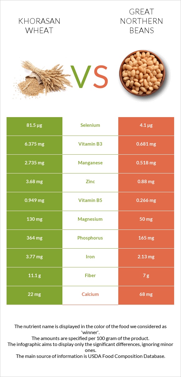 Խորասան ցորենի vs Great northern beans infographic