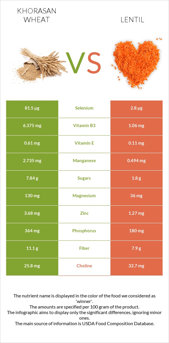 Khorasan wheat vs Lentil infographic