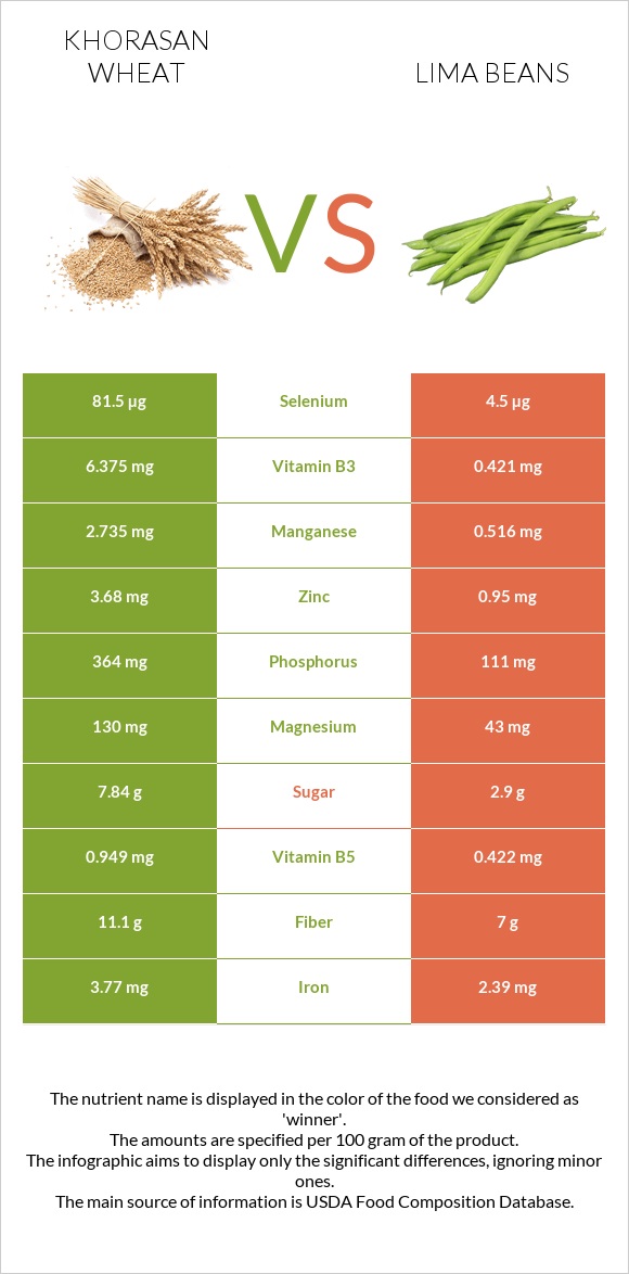 Khorasan wheat vs Lima bean infographic