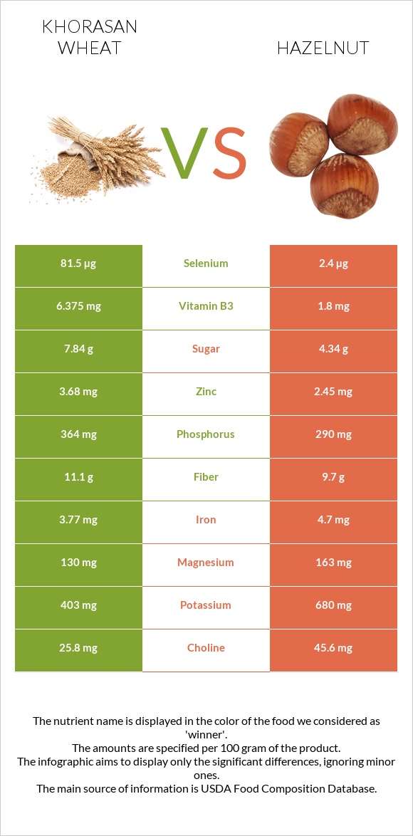 Khorasan wheat vs Hazelnut infographic