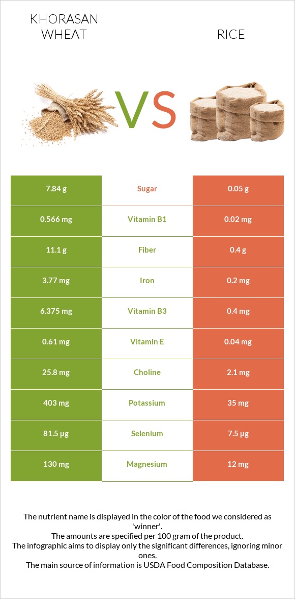 Khorasan wheat vs Rice infographic