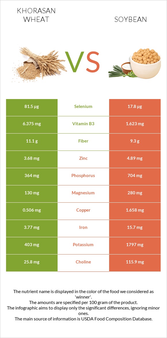 Khorasan wheat vs Soybean infographic
