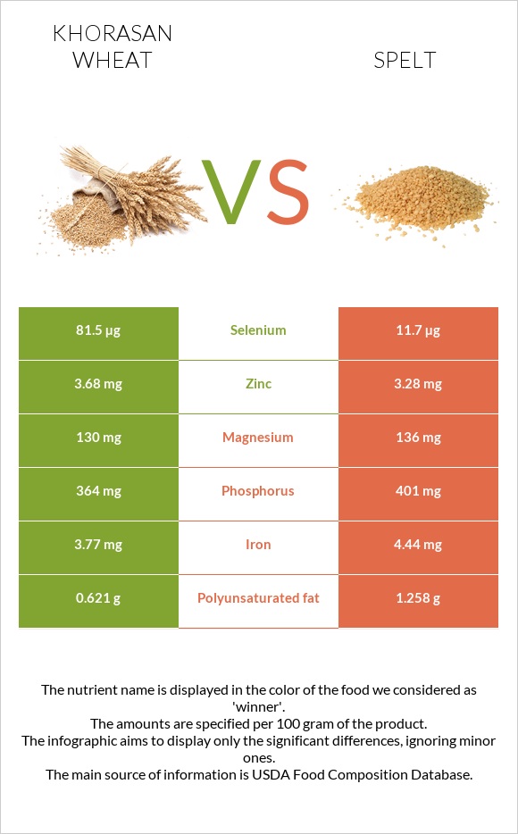 Khorasan wheat vs Spelt infographic