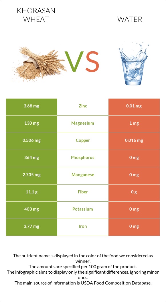 Khorasan wheat vs Water infographic