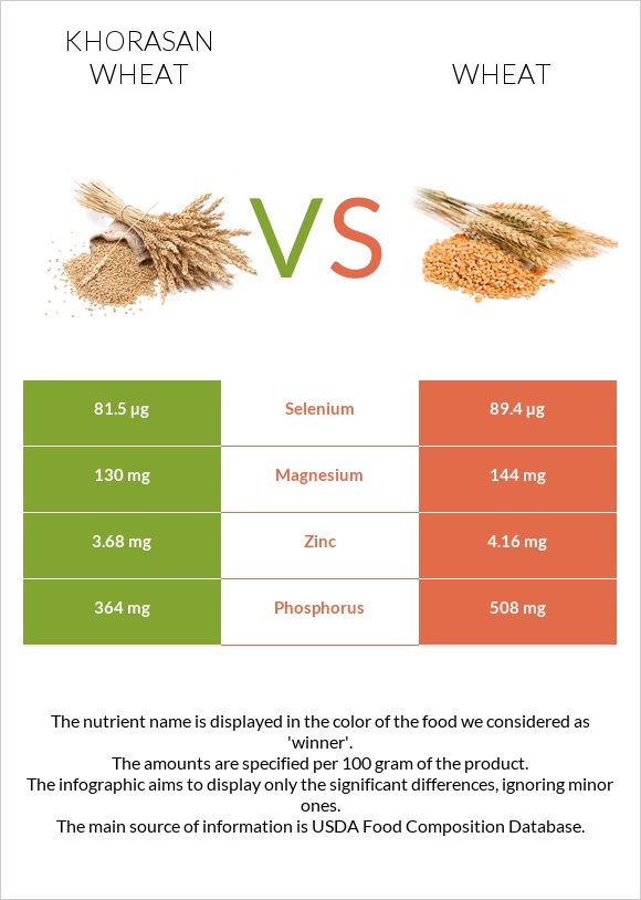 Khorasan wheat vs Wheat  infographic