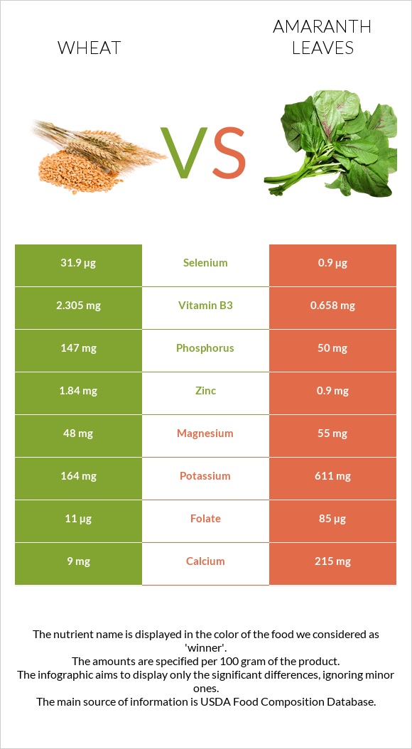 Ցորեն vs Ամարանթի տերևներ infographic