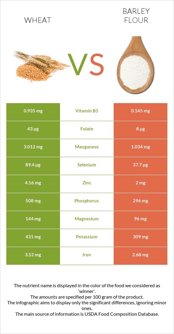 Ցորեն vs Barley flour infographic
