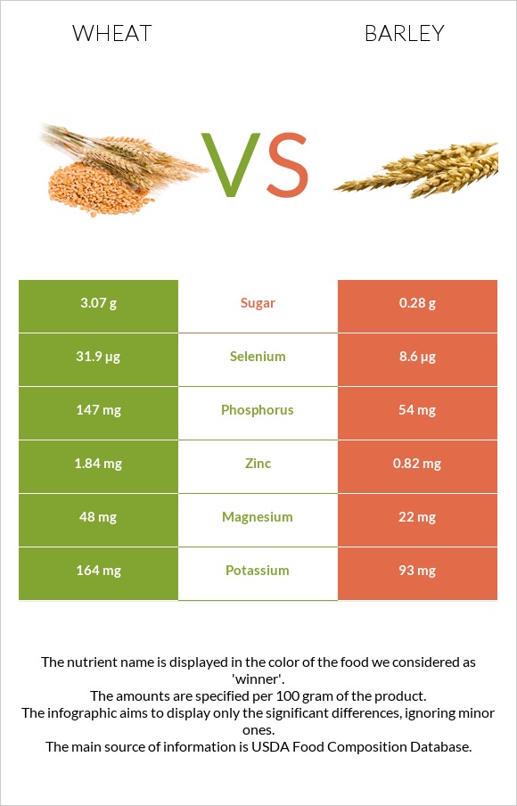 Wheat vs Barley infographic