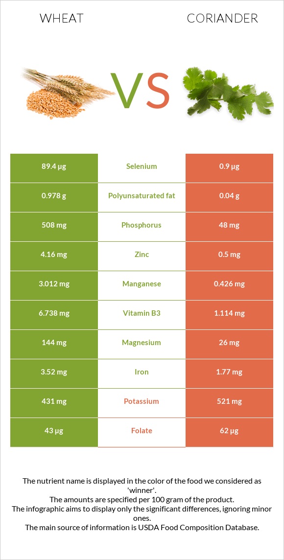 Wheat vs Coriander infographic