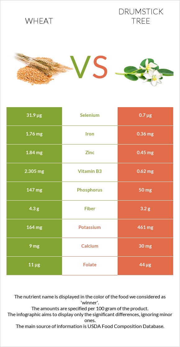 Ցորեն vs Drumstick tree infographic