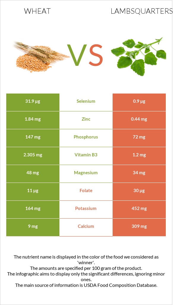 Ցորեն vs Lambsquarters infographic