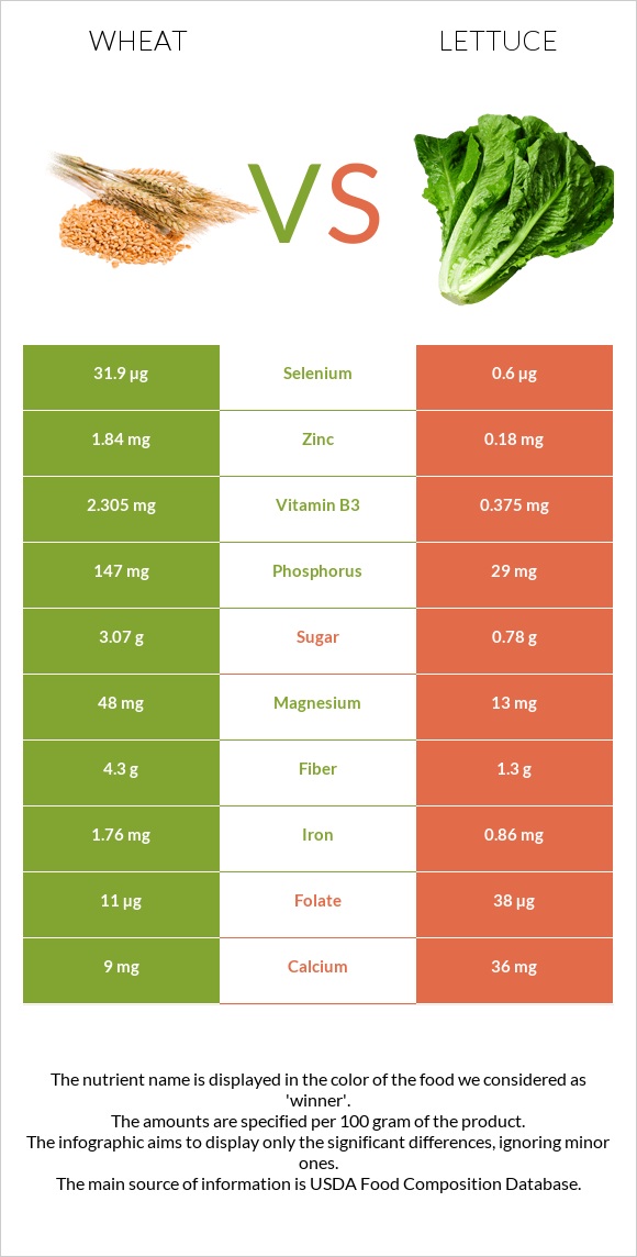 Wheat vs Lettuce infographic