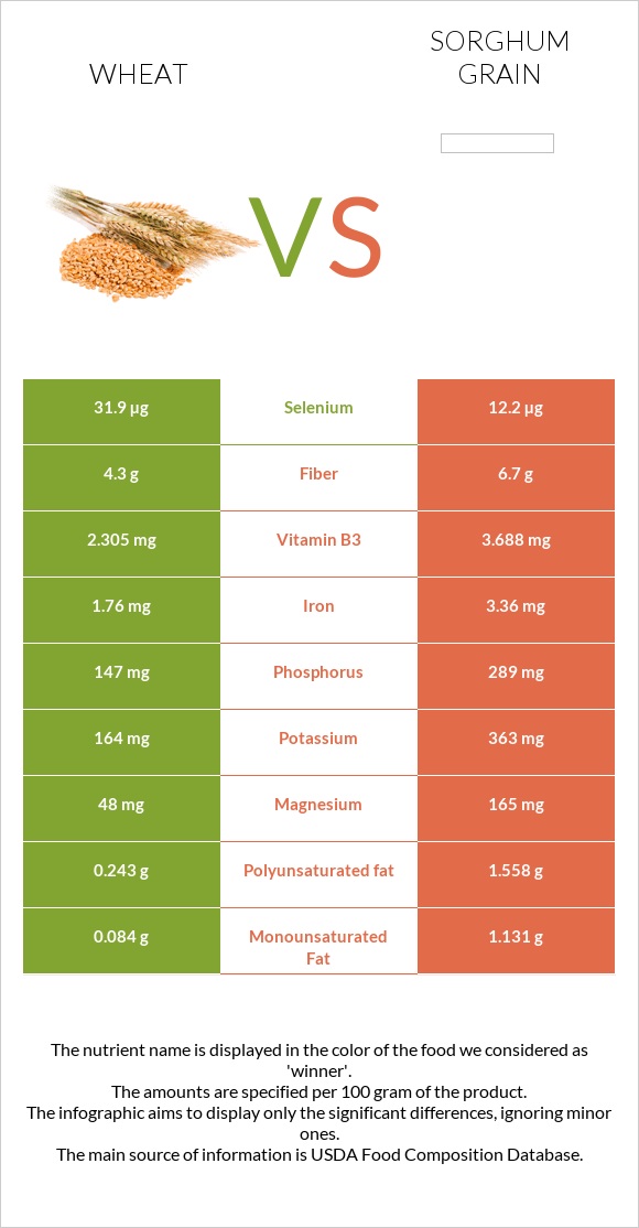 Ցորեն vs Sorghum grain infographic