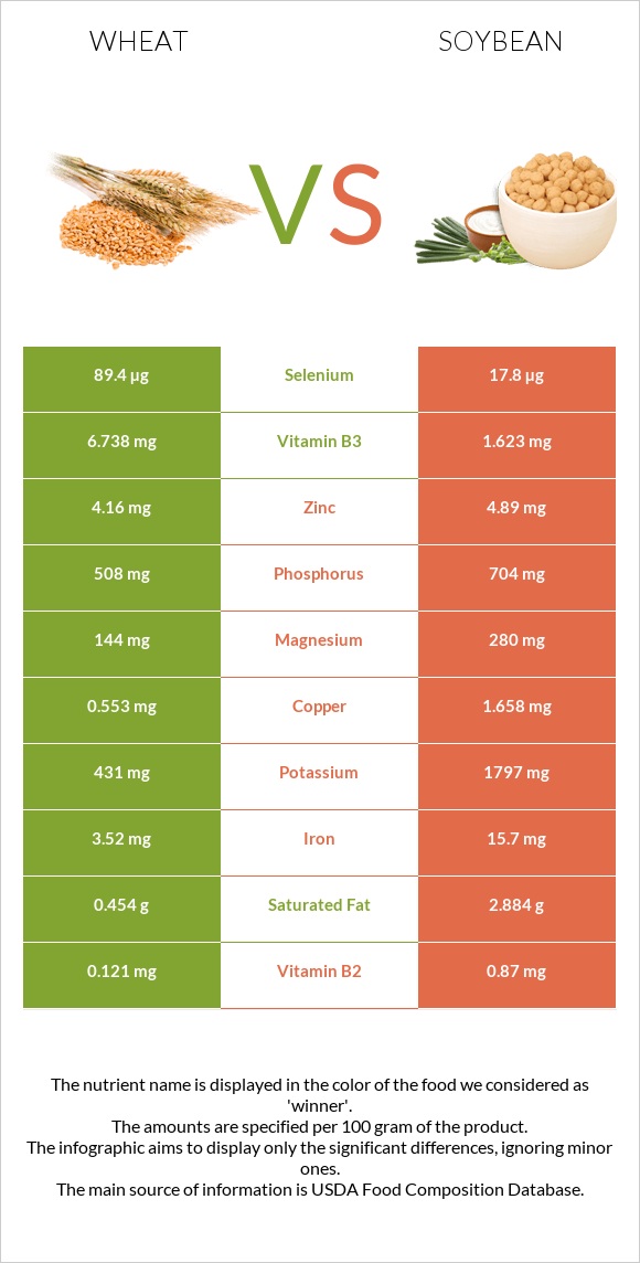 Wheat vs Soybean infographic