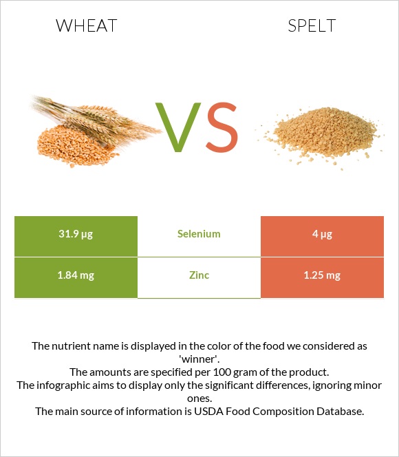 Ցորեն vs Spelt infographic