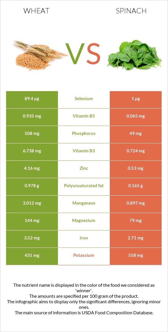 Ցորեն vs Սպանախ infographic