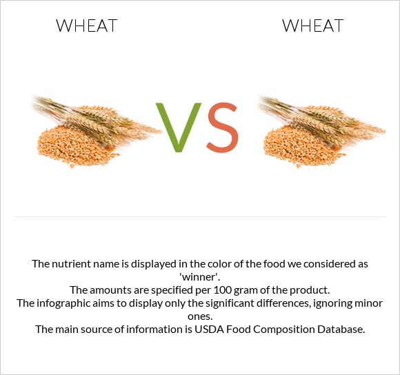 Wheat vs Wheat infographic