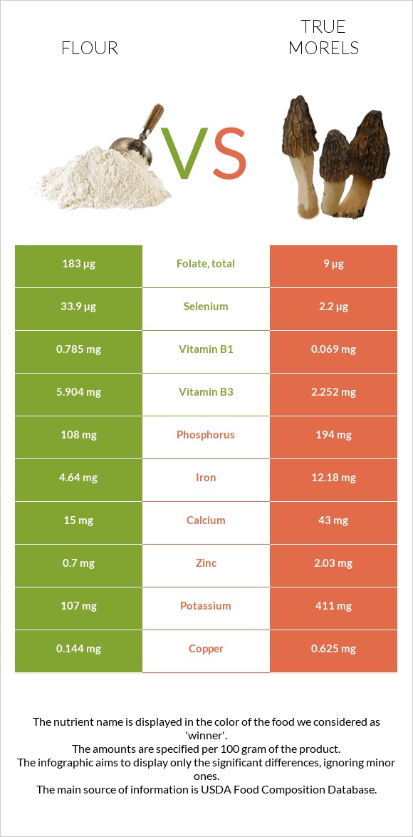 Flour vs True morels infographic