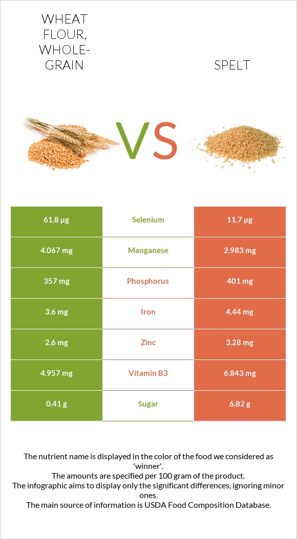 Wheat flour, whole-grain vs Spelt infographic
