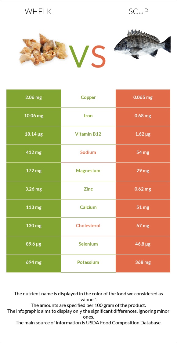 Whelk vs Scup infographic