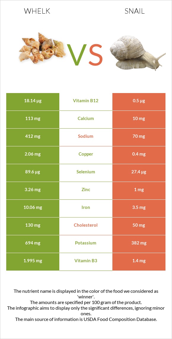 Whelk vs Snail infographic