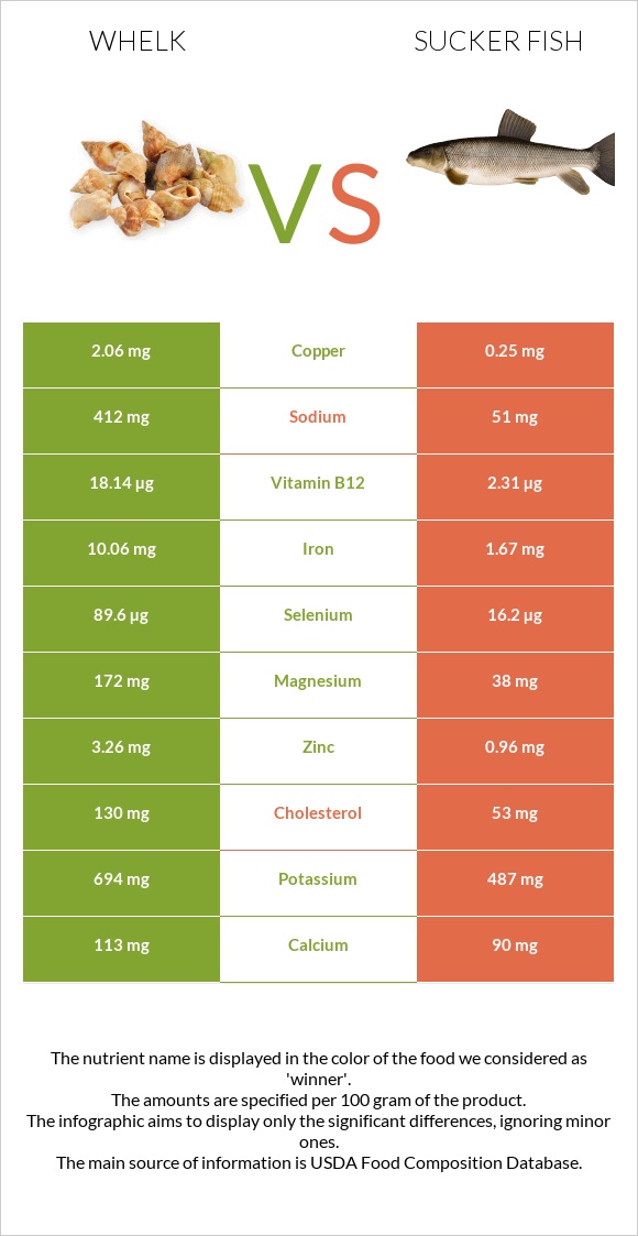 Whelk vs Sucker fish infographic