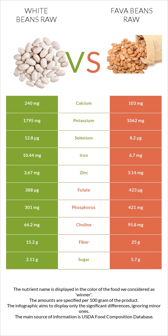 White beans raw vs Fava beans infographic