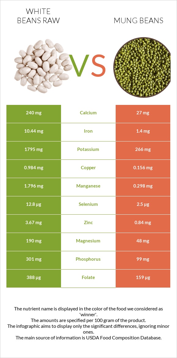 White beans raw vs Mung beans infographic