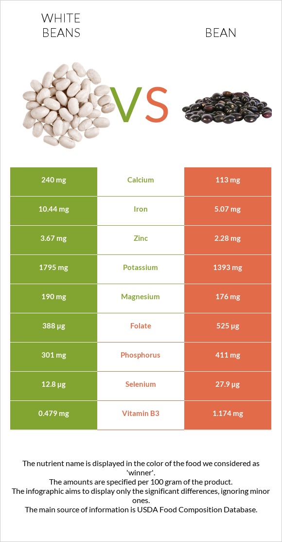 White beans vs Լոբի պինտո infographic