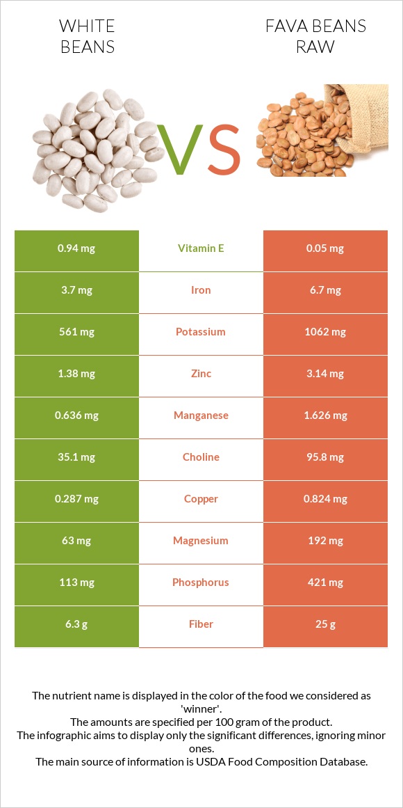 White beans vs Fava beans raw infographic