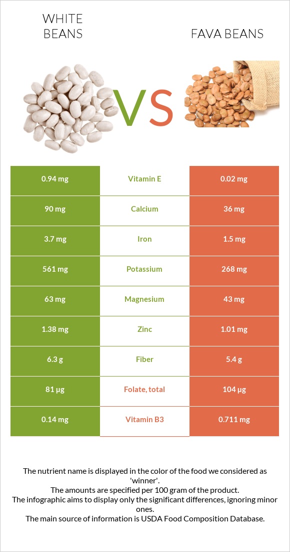 White beans vs Fava beans infographic