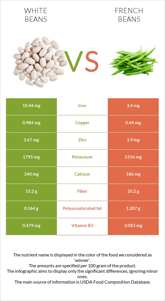 White beans vs French beans infographic