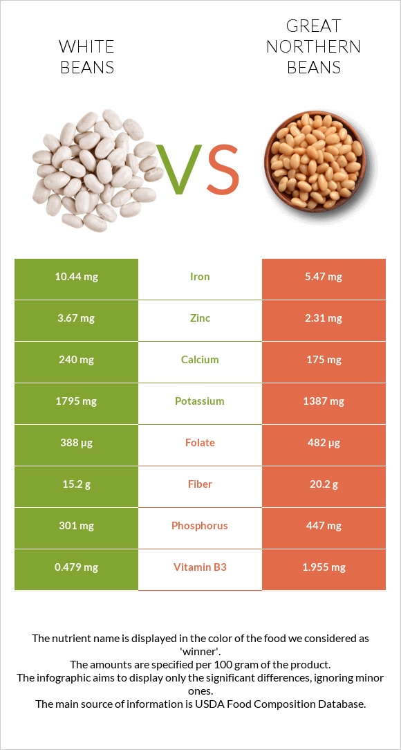 White beans vs Great northern beans infographic