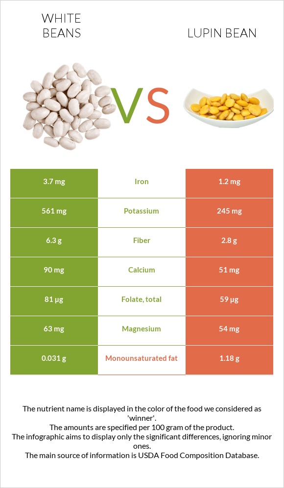 White beans vs Lupin Bean infographic